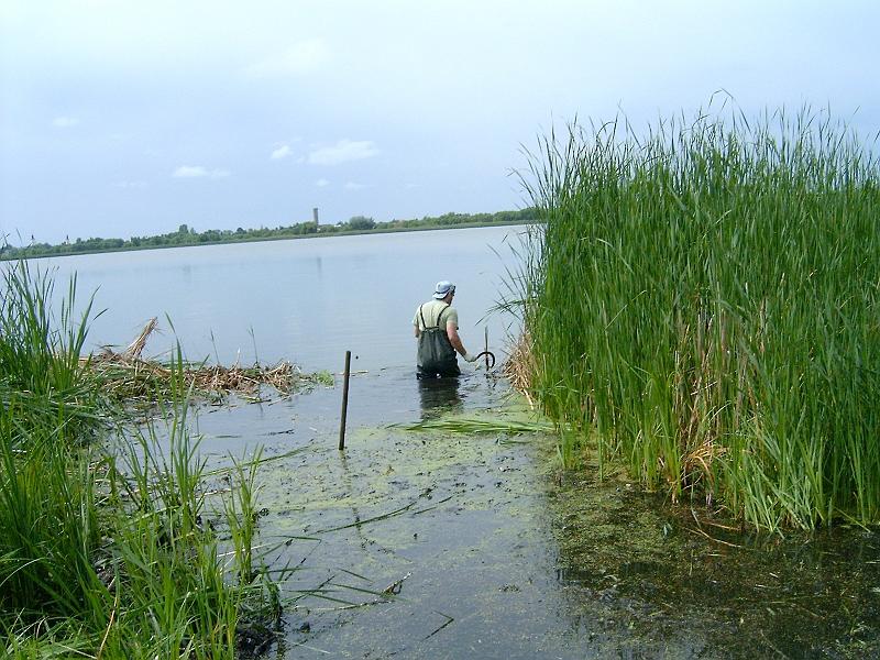 20120610 001.jpg